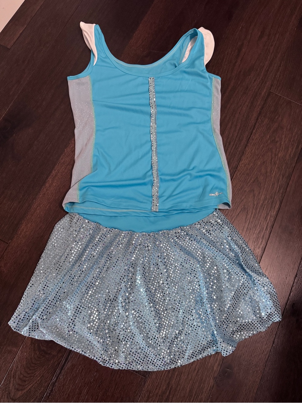 Cinderella inspired running costume